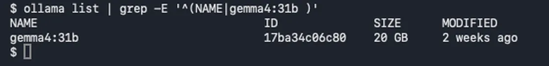 ollama list で gemma4:31b の大きさが20GBと表示された画面